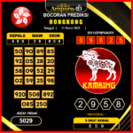 prediksi-hongkong-11-maret-2025